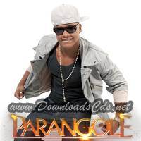 Parangole CD 2013