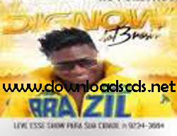 dig now do brasil verao 2015