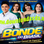 bonde-do-brasil-cd-2015-cansei-de-esperar-promocional-2015