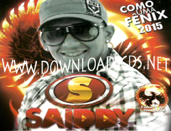 saiddy-bamba-fenix-cd-verao-2015
