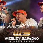 wesley-safadao-e-garota-safada-sao-caetano-pe-agosto-2014