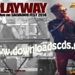 playway---salvador-fest-2014