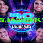 calcinha-preta-vol-28-2015