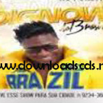 dig now do brasil verao 2015