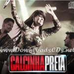 Show da Banda Calcinha Preta ao vivo em São Paulo