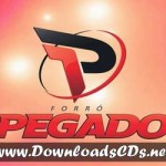 Baixar CD Forro Pegado em Frei Miguelinho janeiro 2015